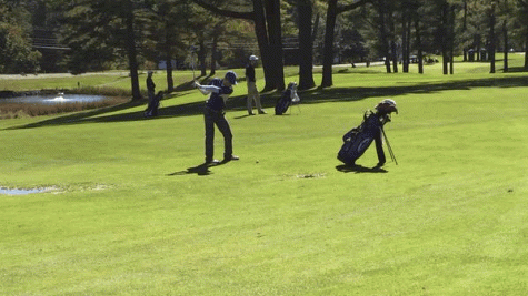 Golfers put forth strong performance at states