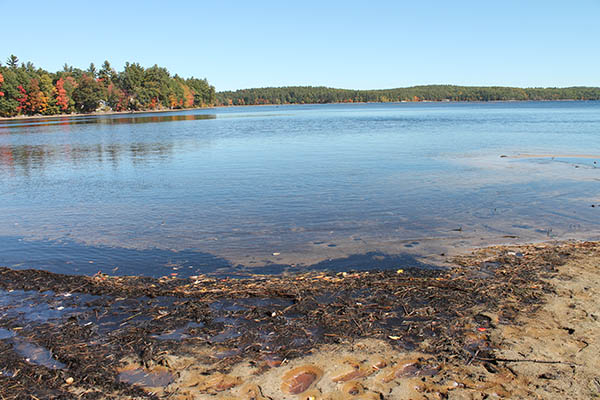 Massabesic levels too low to row