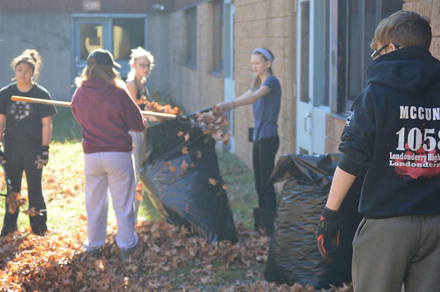 raking-3