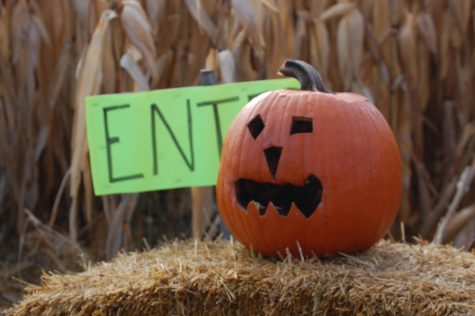 Put a few treats into your tricks on Halloween
