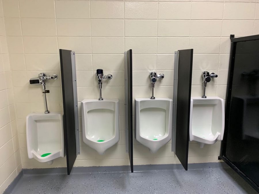 Urinal dividers are currently located in the men's bathroom in the main lobby.