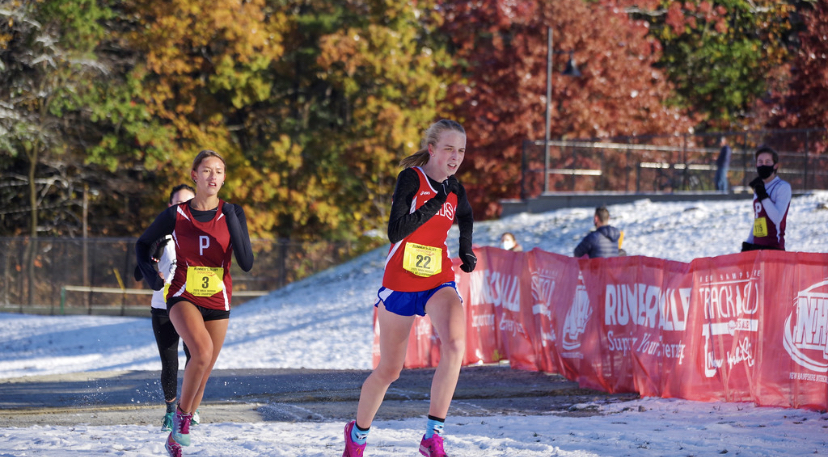 Junior Grace McDonough runs her hardest in the state meet to qualify for the Meet of Champions.