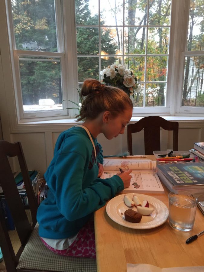 Young Hagymas diligently works on a math assignment at the kitchen table within her home. Until her senior year of high school, she had begun almost every day alike to this one.
