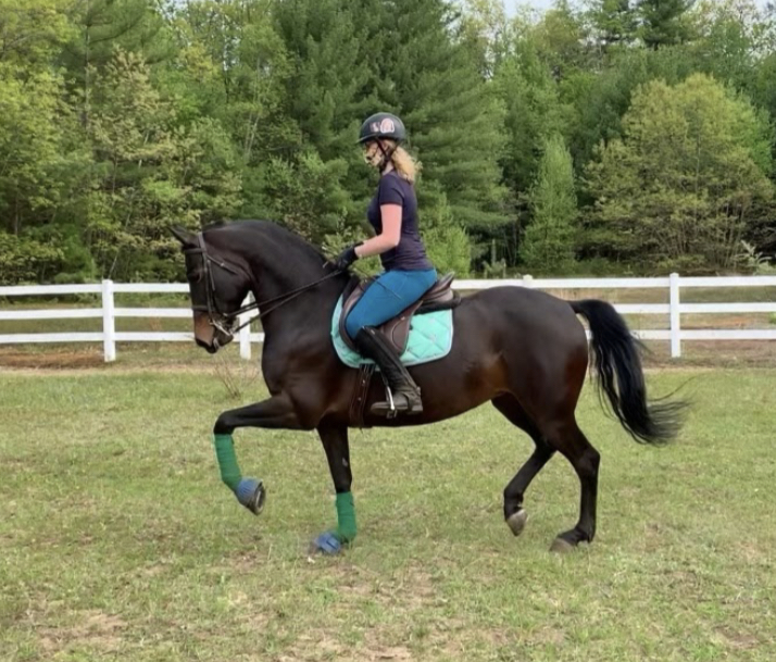 Sophomore Talia BarNoy riding her horse Atha at her lesson barn. Atha’s show name is Laing Hill Atha and BarNoy rides her when the team competes.

