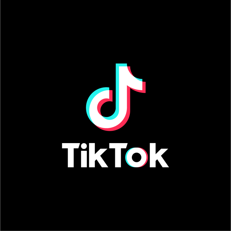 Student shares his opinion about the app TikTok