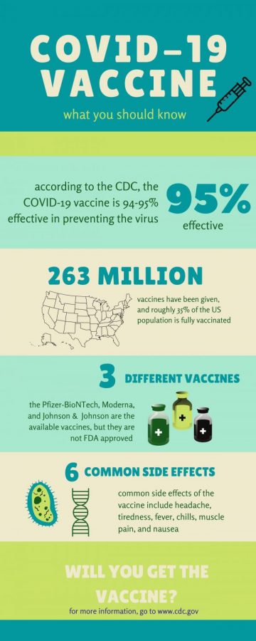 The COVID-19 vaccine is everywhere. Will you fight for herd immunity, or sit back to see what happens?