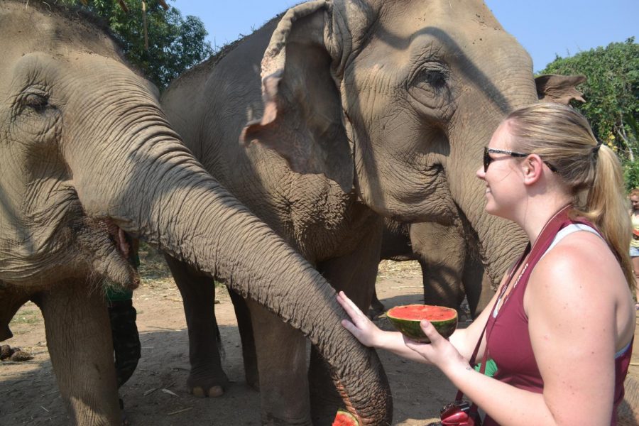 Hoffman on her trip to Thailand.