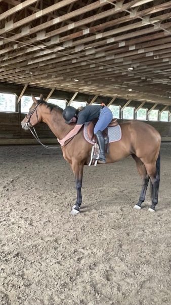 Meara Horan showing her horse love in the barn.