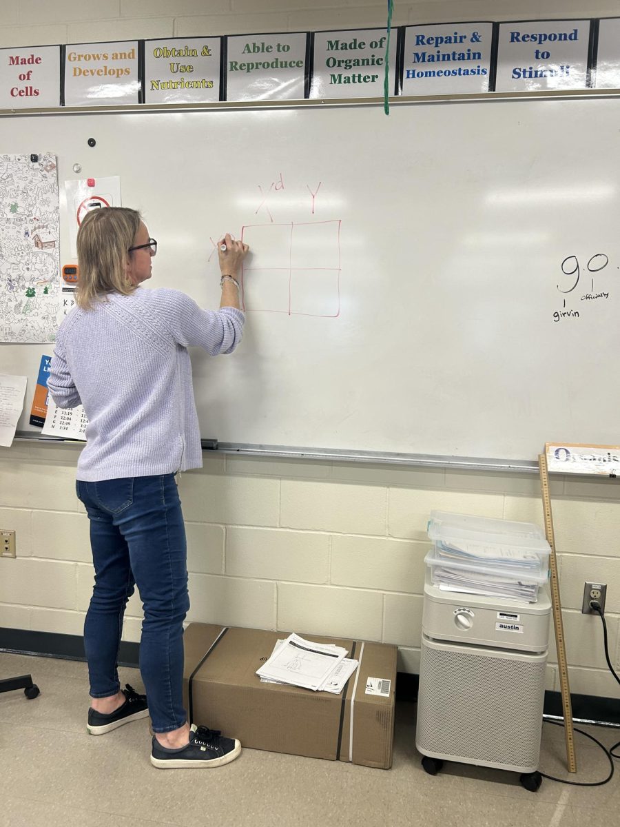 Girvin teaches her class about punnet squares. She helps students by drawing visuals showing her teaching style. 