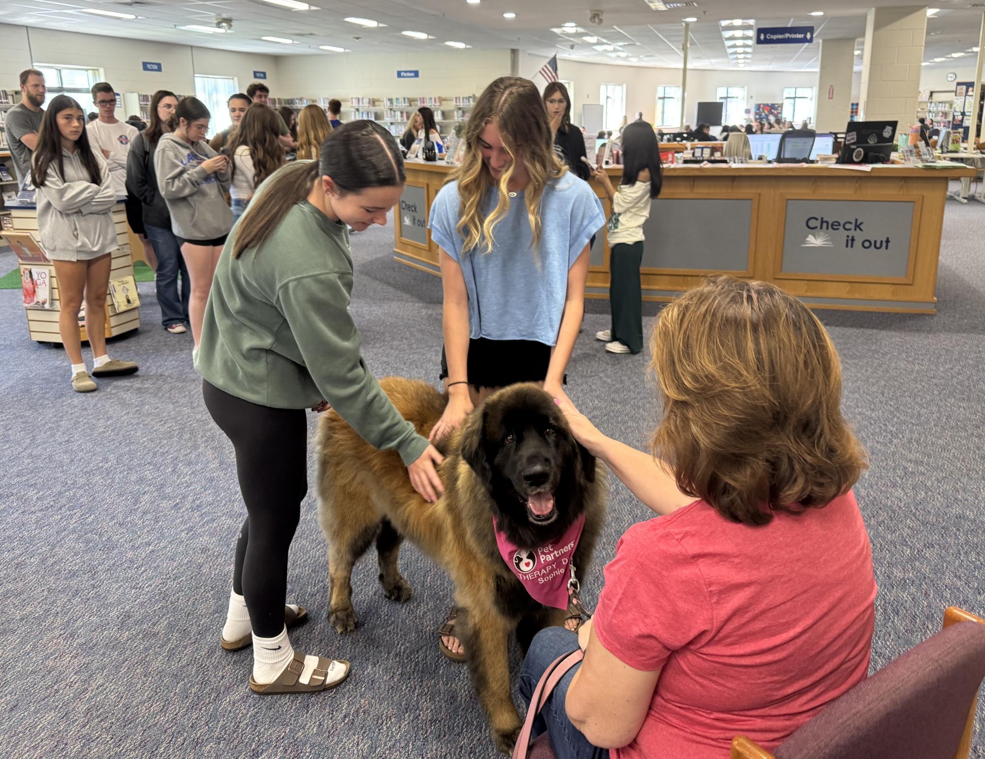 Students wait in line to pet Sophie, the pet therapy dog who visited LHS on Sept. 12. After becoming an official pet therapy dog through Pet Partners a year ago, Sophie and her handler, Wendy Calnan, have been visiting schools and universities to help students.