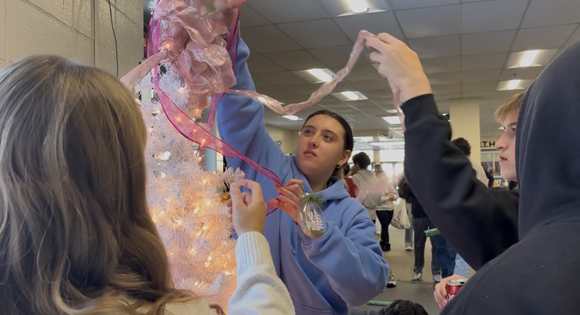 Sophomores wrap their "bows and bears" tree in pink ribbon.