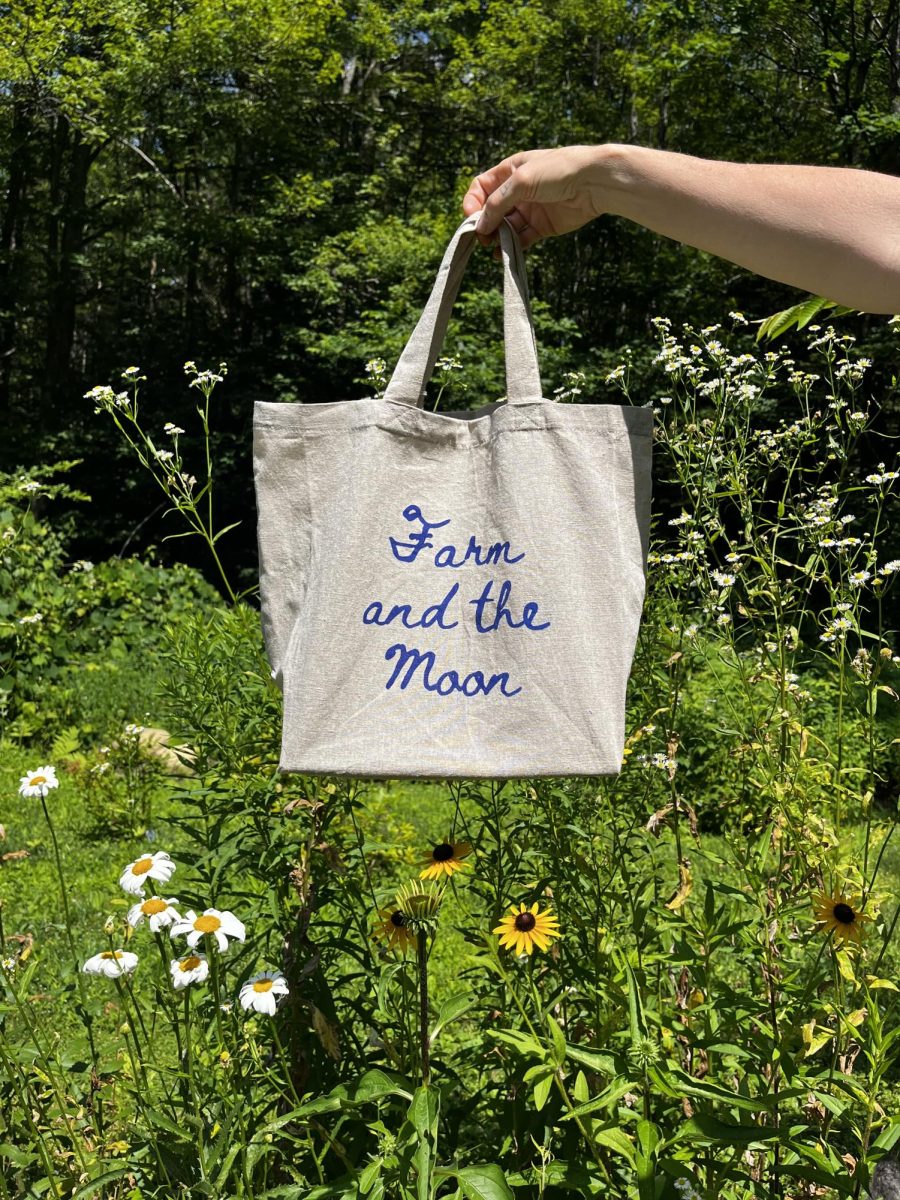 On March 19, 2026, the Futures Lab held an Artist Talk. Alum Zoe Binette spoke about her artistry and small business, Farm and the Moon. Photo used with permission from Zoe Binette. 
